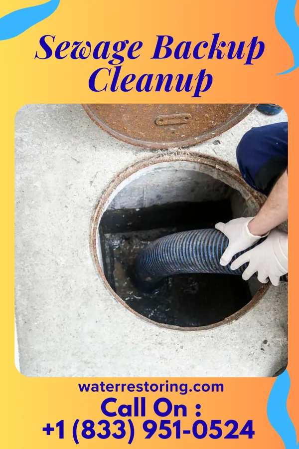 Sewage Backup Cleanup in Dickens, IA